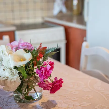 Pitoros Summer Kefalonia Ferienhaus