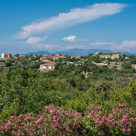 Pitoros Summer Kefalonia Ferienhaus Mesovounia (Kefalonia)